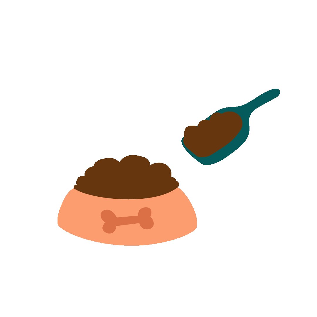 Gamelle chien Gamelle chien