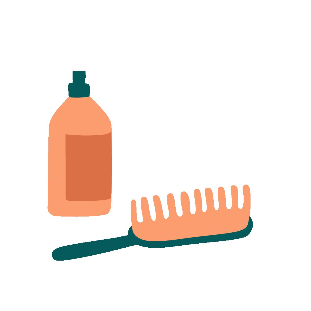 Toilettage chat Toilettage chat