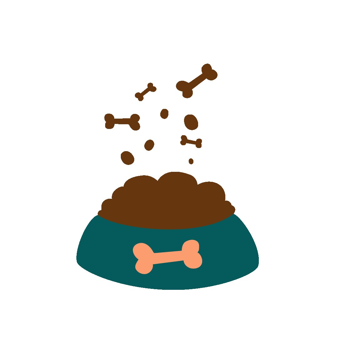 Alimentation chien Alimentation chien