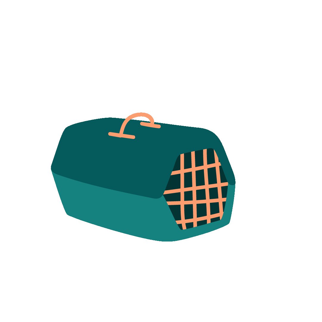 Cage de transport chien Cage de transport chien