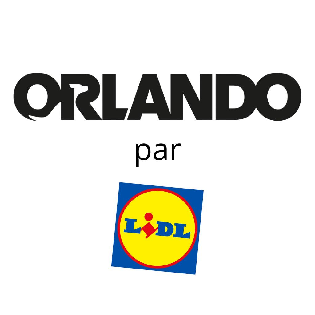 ORLANDO ORLANDO