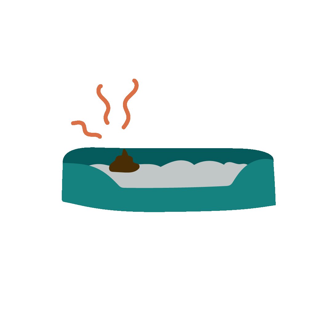 Litière pour chat Litière pour chat