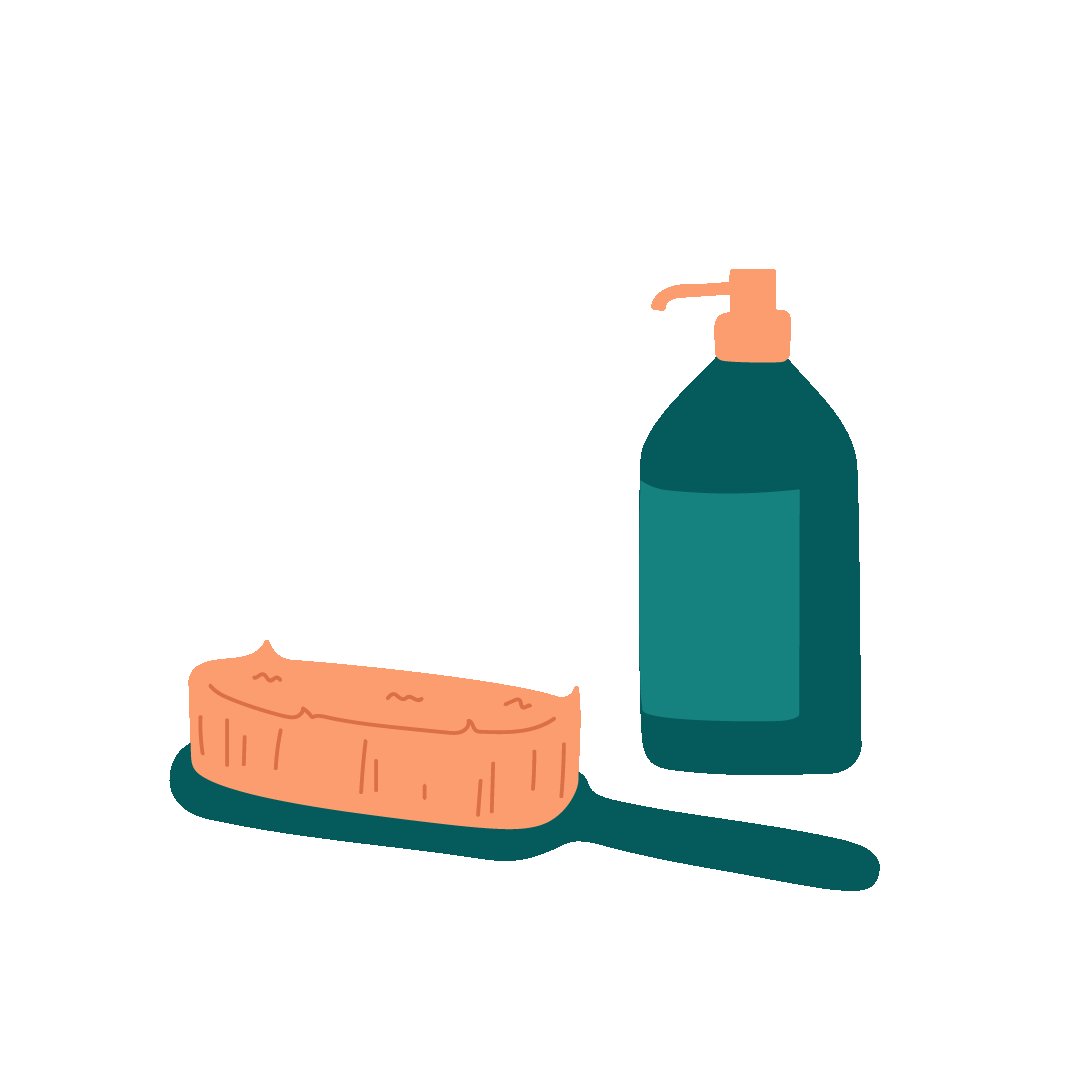 Toilettage chien Toilettage chien