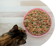 L'assiette de Max rations ménagères pour chat adulte L'assiette de Max rations ménagères pour chat adulte