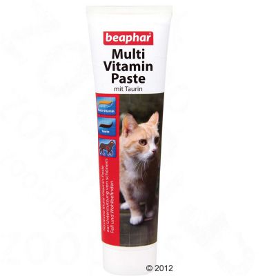 Pâte vitaminée pour chaton : avis, test, prix - Conso Animo