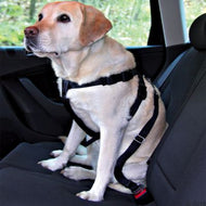 Ceinture de sécurité Trixie pour chien Ceinture de sécurité Trixie pour chien