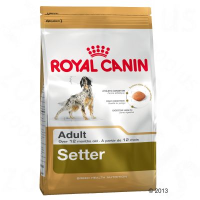 Croquette chien Royal Canin Breed Setter Adult