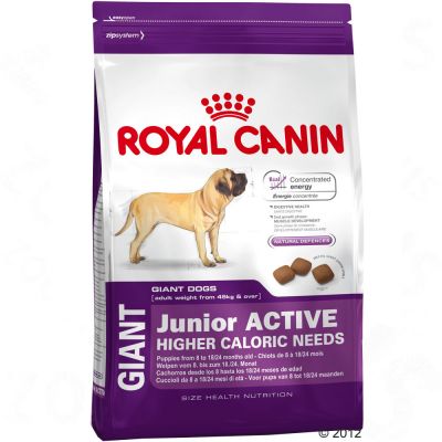Croquette chien Giant Junior Active de Royal Canin