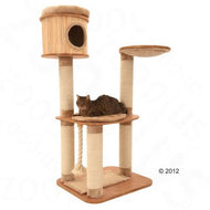 Arbre à chat Roitelet des haies Arbre à chat Roitelet des haies