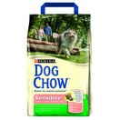 Croquette chien Dog Chow Sensitive saumon & riz de Purina