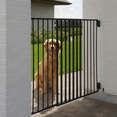 Barrière Dog Barrier Outdoor pour chien : avis, test, prix - Conso Animo