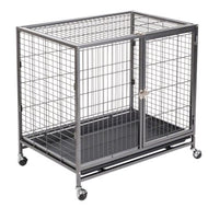 Cage d'intérieur Tabby Cage d'intérieur Tabby