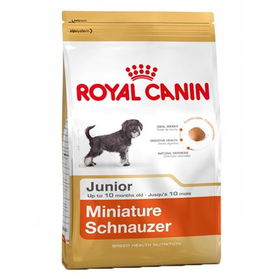 Croquette chien Royal Canin Breed Miniature Schnauzer Junior