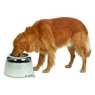 Gamelle surélevée Dogit Gamelle surélevée Dogit