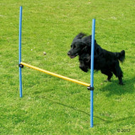 Haie Agility pour chien Fun & Sport Haie Agility pour chien Fun & Sport