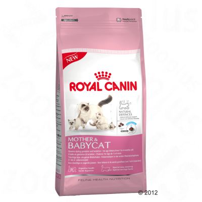 Croquettes chat Mother & Babycat de Royal Canin