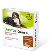 Drontal® Chien XL vermifuge de Bayer Drontal® Chien XL vermifuge de Bayer
