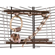 Pont suspendu en bois naturel pour rongeur Pont suspendu en bois naturel pour rongeur