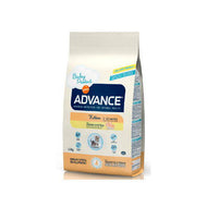 Croquettes chat Affinity Advance Kitten pour chats Croquettes chat Affinity Advance Kitten pour chats