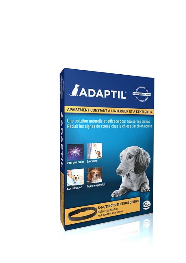 Adaptil collier pour chien avis, test, prix Conso Animo
