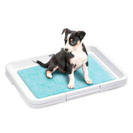 Plateau d'entrainement pour chiot Plateau d'entrainement pour chiot