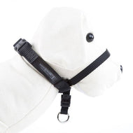 Licol de dressage Easy Walk pour chiens qui tirent sur la laisse Couleur Noir Licol de dressage Easy Walk pour chiens qui tirent sur la laisse Couleur Noir