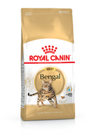 Croquettes chat Royal Canin Breed Bengal Croquettes chat Royal Canin Breed Bengal