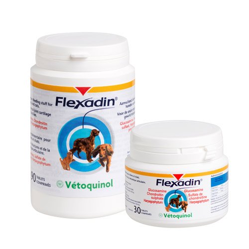 Alimentation complémentaire pour chien Flexadin de Vetoquinol
