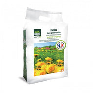 Foin aux pissenlits de Hamiform Foin aux pissenlits de Hamiform