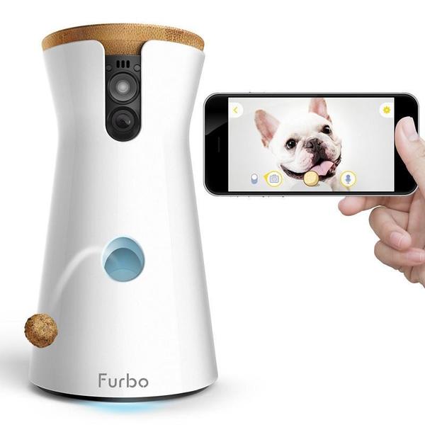 ▷ Furbo : Notre avis sur la caméra interactive pour chats et chiens