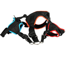 Multi Harnais chien Classic Animalin Multi Harnais chien Classic Animalin