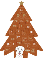 Calendrier de l'Avent pour chien de Ultima Calendrier de l'Avent pour chien de Ultima