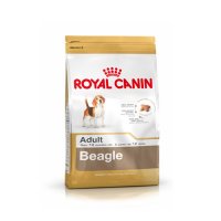 Croquette chien Royal Canin Breed Nutrition Beagle Adulte