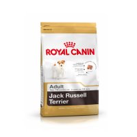 Croquette chien Royal Canin Breed Nutrition Jack Russell Terrier