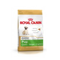 Croquette chien Pug Junior de Royal Canin