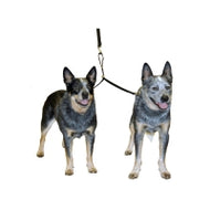 Laisse Double Coupler Laisse Double Coupler