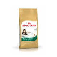 Croquettes chat Royal Canin Maine Coon 31 Croquettes chat Royal Canin Maine Coon 31