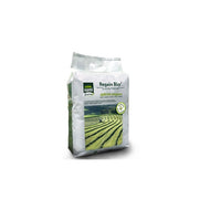 Regain Bio Hamiform Regain Bio Hamiform