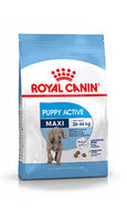 Croquette chien Royal Canin Maxi Puppy Active