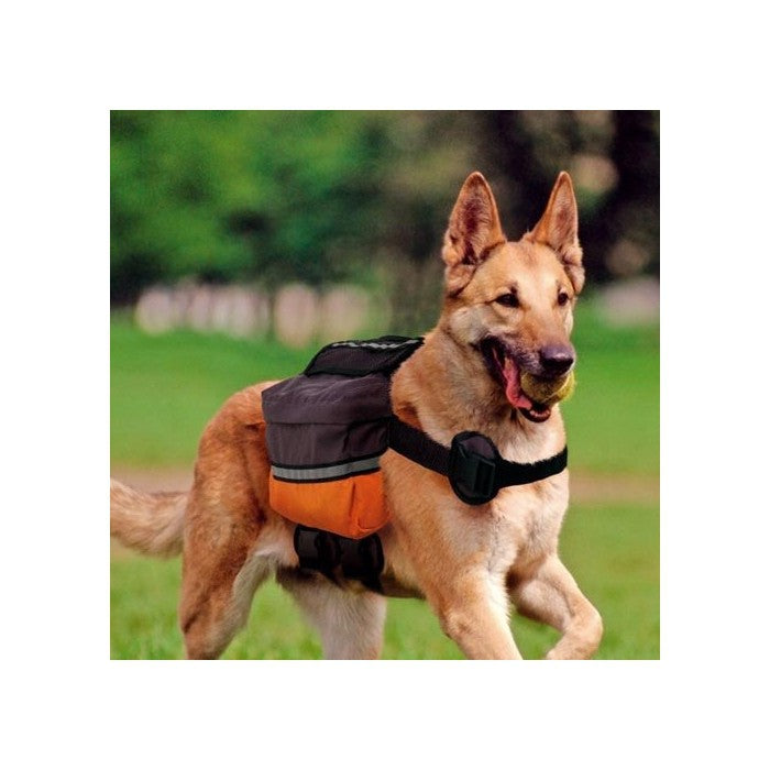 Sac a dos pour chien deals
