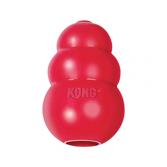 Kong jouet pour chat poisson rouge - La jungle de compagnie