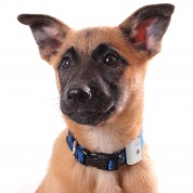 Collier connecté MyCompanion de Bewell Connect Collier connecté MyCompanion de Bewell Connect