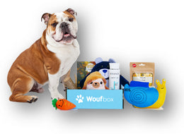 Coffret cadeau Woufbox Label Box