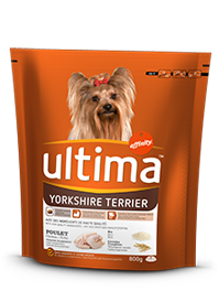 Croquette chien Isomega Yorkshire Terrier