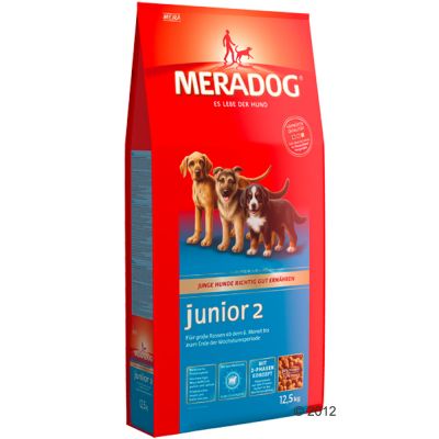 Meradog Junior 2