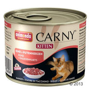 Carny Kitten
