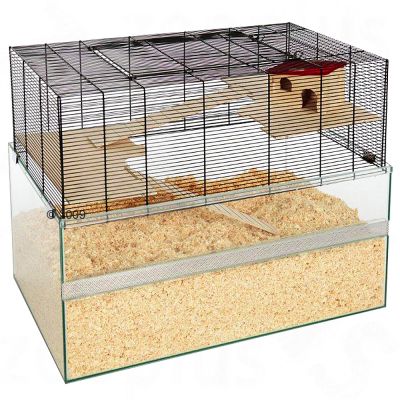 Cage Falco