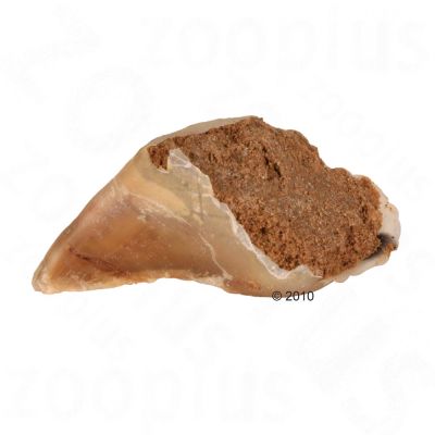 Pâté de viande pour chien