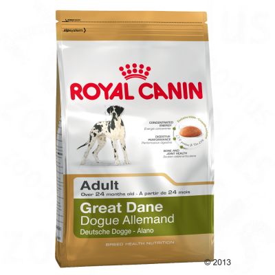 Croquette chien Royal Canin Breed Great Dane Adult