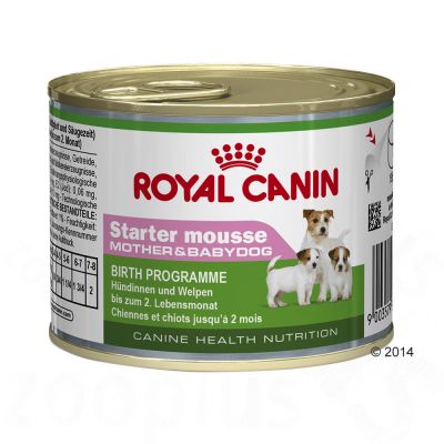 Boîtes Royal Canin Starter Mousse Mother & Babydog